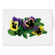 Yellow and Purple Pansy Trio Cards
