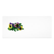 Yellow and Purple Pansy Trio rack cards