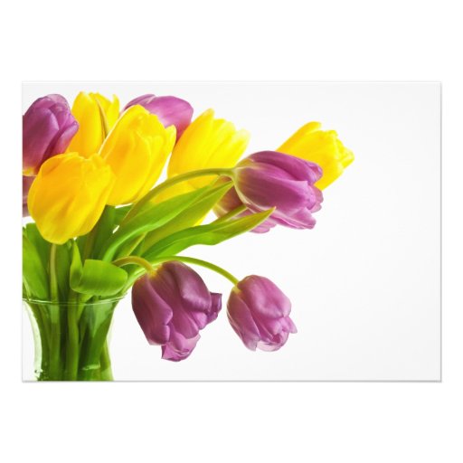 Yellow and Purple Tulips Background Customized Announcement