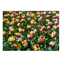 Yellow and Purple Tulips Business Cards