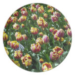 Yellow and Purple Tulips Plate