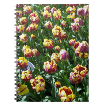 Yellow and Purple Tulips Spiral Notebooks