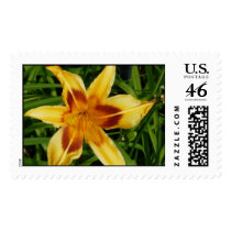 Yellow and Red Lily Postage postage by Rajee1 Yellow and Red Lily Postage postage
