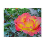 yellow and red rose post cards