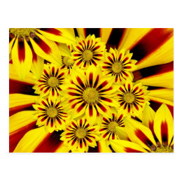 Yellow and Red Striped Gerbera Daisy Sunflower Postcard