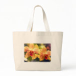 orchid, orchids, tropical, flower, flowers,