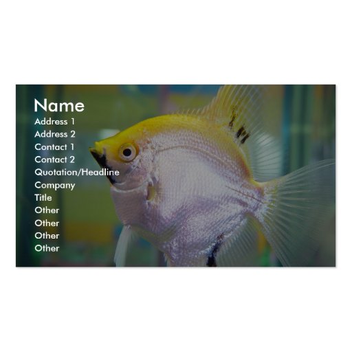 Yellow And Silver Fish In The Tank Business Card Template (front side)