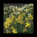 Yellow and White Daffodils Magnet