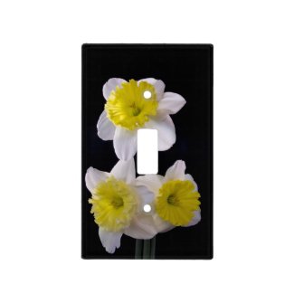 Yellow and White Daffodils on Black Light Switch Covers