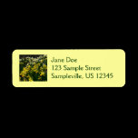 Yellow and White Daffodils Return Address Label