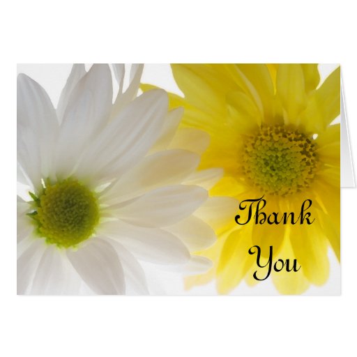 White Daises With Bug Thank You Note Yellow And White Daisies Thank You Card Zazzle