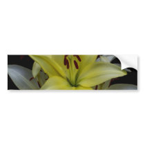 Yellow and White Lilies Bumper Sticker