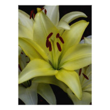 Yellow and White Lilies Personalized Invites