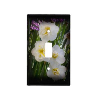 Yellow and White Narcissus Daffodils on Black Switch Plate Covers