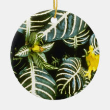 yellow Aphelandra Sqarrosa 'Louisae' (Zebra Plant) Christmas Ornaments
