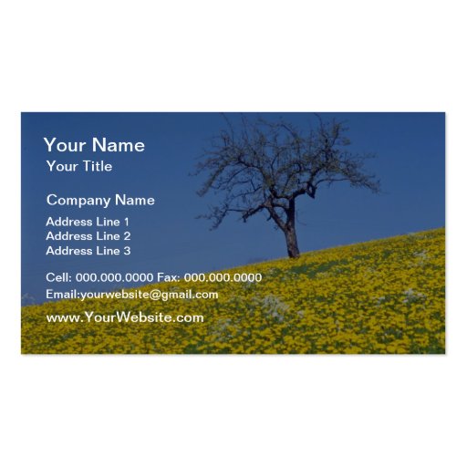 yellow Apple tree and dandelion meadow flowers Business Card (front side)