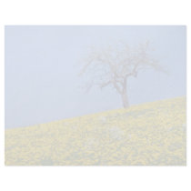 yellow Apple tree and dandelion meadow flowers Customized Letterhead
