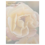 Yellow Apricot Rose DSC3260 Letterhead Template