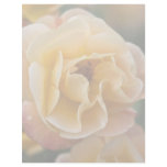 Yellow Apricot Rose DSC3260 Customized Letterhead