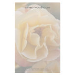Yellow Apricot Rose DSC3260 Custom Stationery