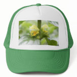 Yellow Archangel - Lamium galeobdolon Trucker Hat