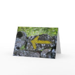 Yellow Arrow on Fence Card