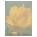 Yellow Asian Globe Flower Custom Letterhead