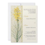 Yellow Asphodel Floral Wedding Invitation 2