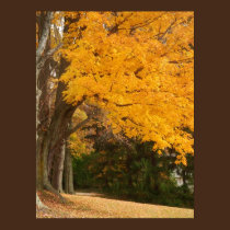 Yellow Autumn canvas print posters