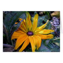Yellow Autumn Flower cards