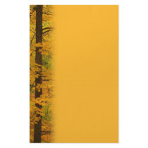 Yellow Autumn Forest Wedding Stationery Design