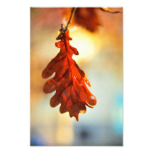 Yellow autumn leaf art photo