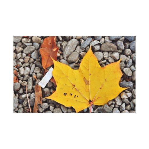 Yellow autumn leaf canvas prints