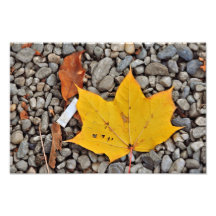 Yellow autumn leaf photo