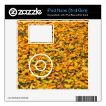 Yellow autumn leaves carpet decal for iPod nano 2G