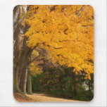 Yellow Autumn mousepad