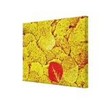 Yellow Autumn - Painting Art Wrapped canvas Canvas Print