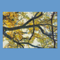 Yellow autumn tree leaves photography