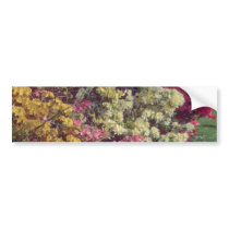 Yellow Azaleas flowers Bumper Sticker