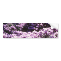 Yellow Azaleas, Kew Gardens flowers Bumper Stickers