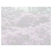 Yellow Azaleas, Kew Gardens flowers Letterhead