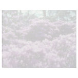 Yellow Azaleas, Kew Gardens flowers Letterhead