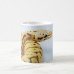 Yellow Ball Python Close Up Coffee Mug