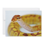 Yellow Ball Python Head Custom Invites