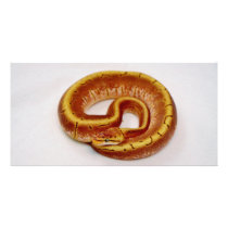 Yellow Ball Python Photo Card Template
