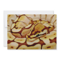 Yellow Ball Python Really Close Up Personalized Invitations