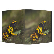 Yellow-banded Poison Dart Frog Dendrobates Vinyl Binder