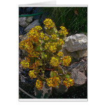 Yellow Batik Cactus cards