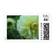 Yellow beauties postage by Elfain Yellow beauties postage