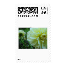 Yellow beauties postage by Elfain Yellow beauties postage